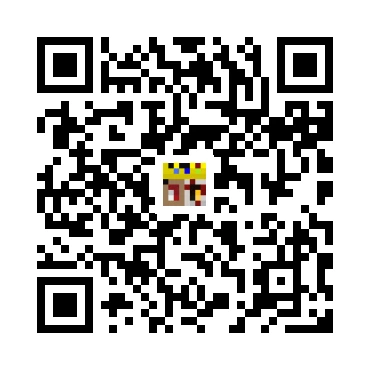 skins.qr_code_alt