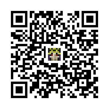 skins.qr_code_alt