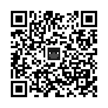 skins.qr_code_alt