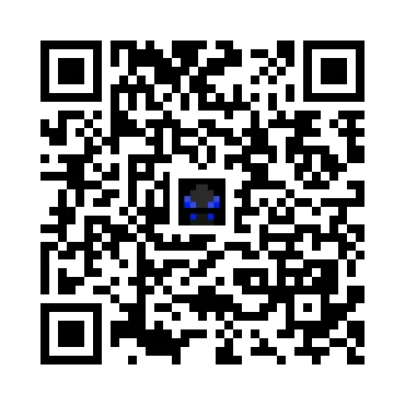 skins.qr_code_alt