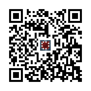 skins.qr_code_alt