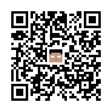 skins.qr_code_alt
