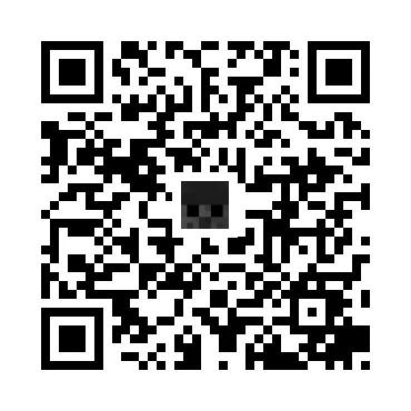 skins.qr_code_alt