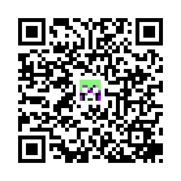 skins.qr_code_alt