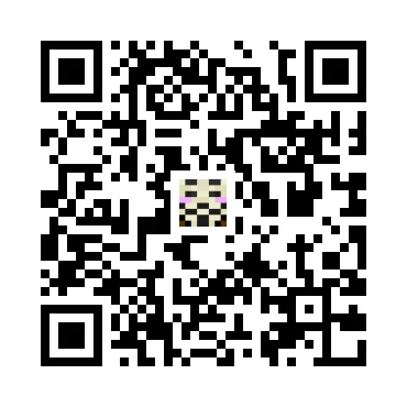 skins.qr_code_alt