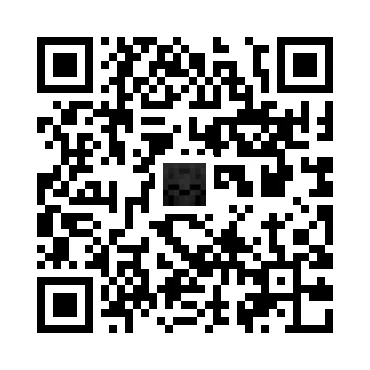 skins.qr_code_alt