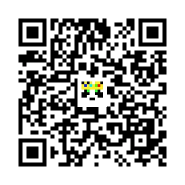 skins.qr_code_alt