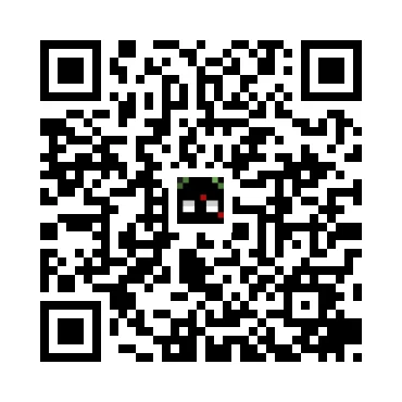 skins.qr_code_alt