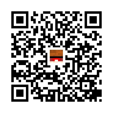 skins.qr_code_alt