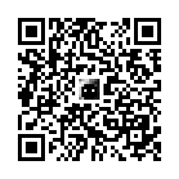 skins.qr_code_alt