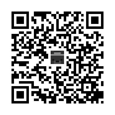 skins.qr_code_alt