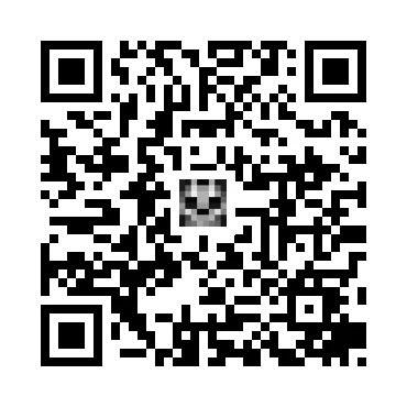 skins.qr_code_alt