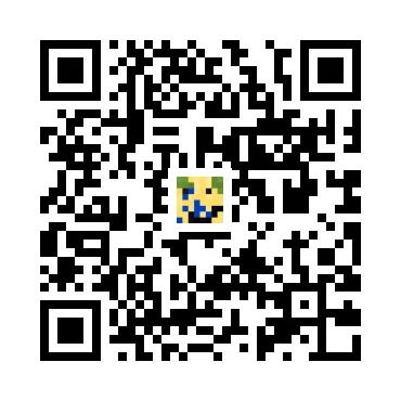 skins.qr_code_alt