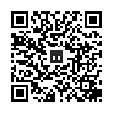 skins.qr_code_alt