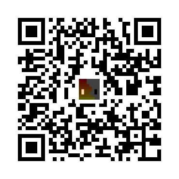 skins.qr_code_alt