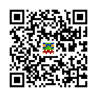 skins.qr_code_alt