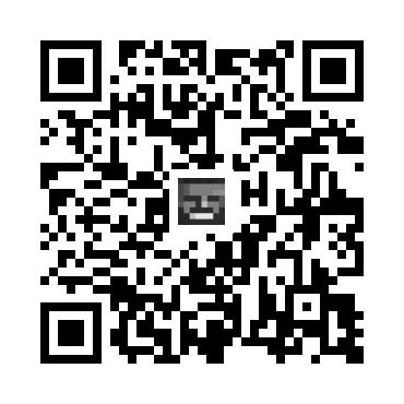 skins.qr_code_alt