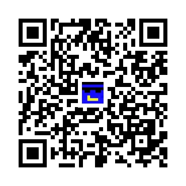 skins.qr_code_alt