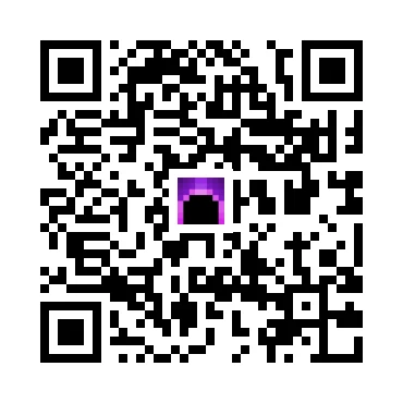 skins.qr_code_alt