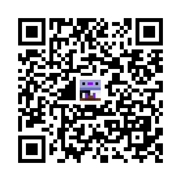 skins.qr_code_alt