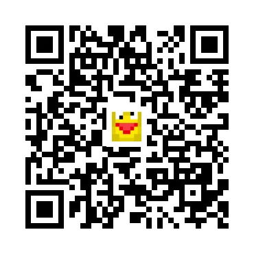 skins.qr_code_alt