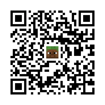 skins.qr_code_alt