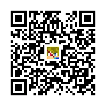 skins.qr_code_alt