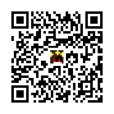 skins.qr_code_alt