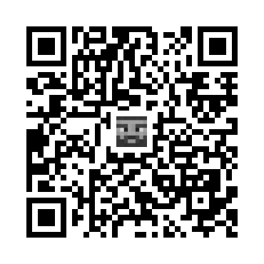 skins.qr_code_alt