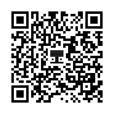 skins.qr_code_alt