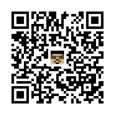 skins.qr_code_alt
