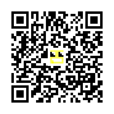 skins.qr_code_alt