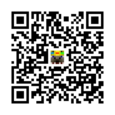 skins.qr_code_alt