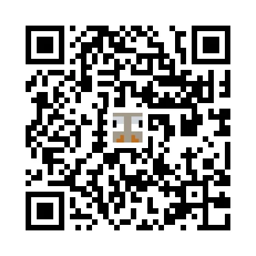 skins.qr_code_alt