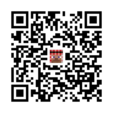 skins.qr_code_alt