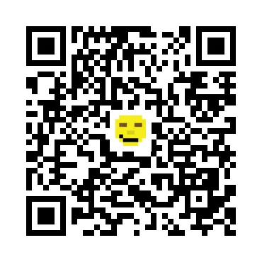 skins.qr_code_alt