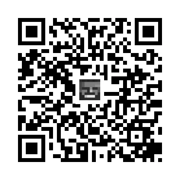 skins.qr_code_alt