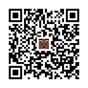 skins.qr_code_alt