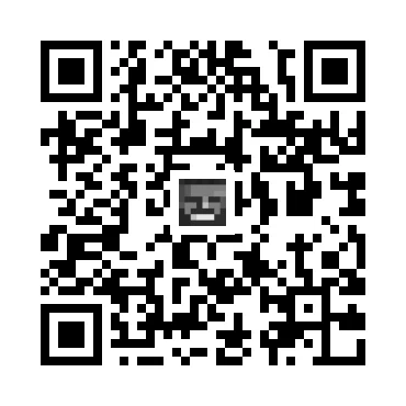 skins.qr_code_alt