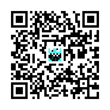 skins.qr_code_alt