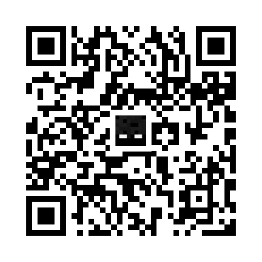 skins.qr_code_alt