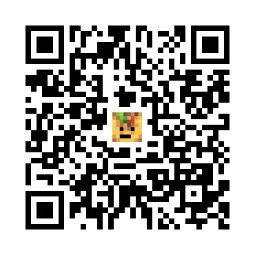 skins.qr_code_alt
