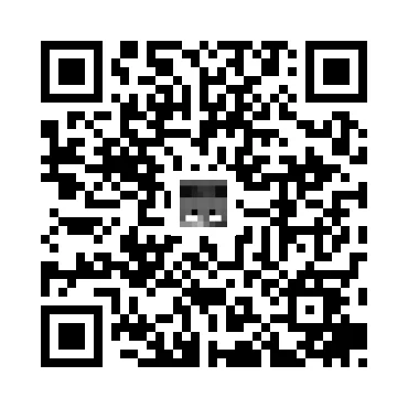skins.qr_code_alt