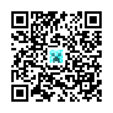 skins.qr_code_alt