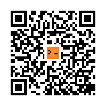 skins.qr_code_alt