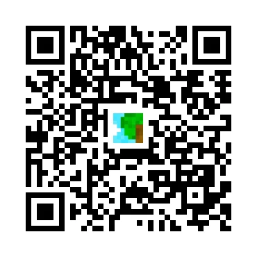 skins.qr_code_alt