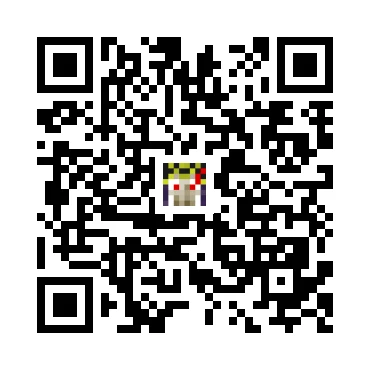 skins.qr_code_alt