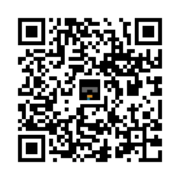 skins.qr_code_alt