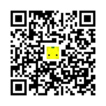 skins.qr_code_alt