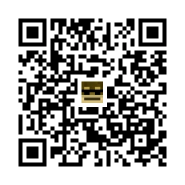 skins.qr_code_alt